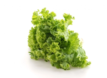 Romaine Lettuce