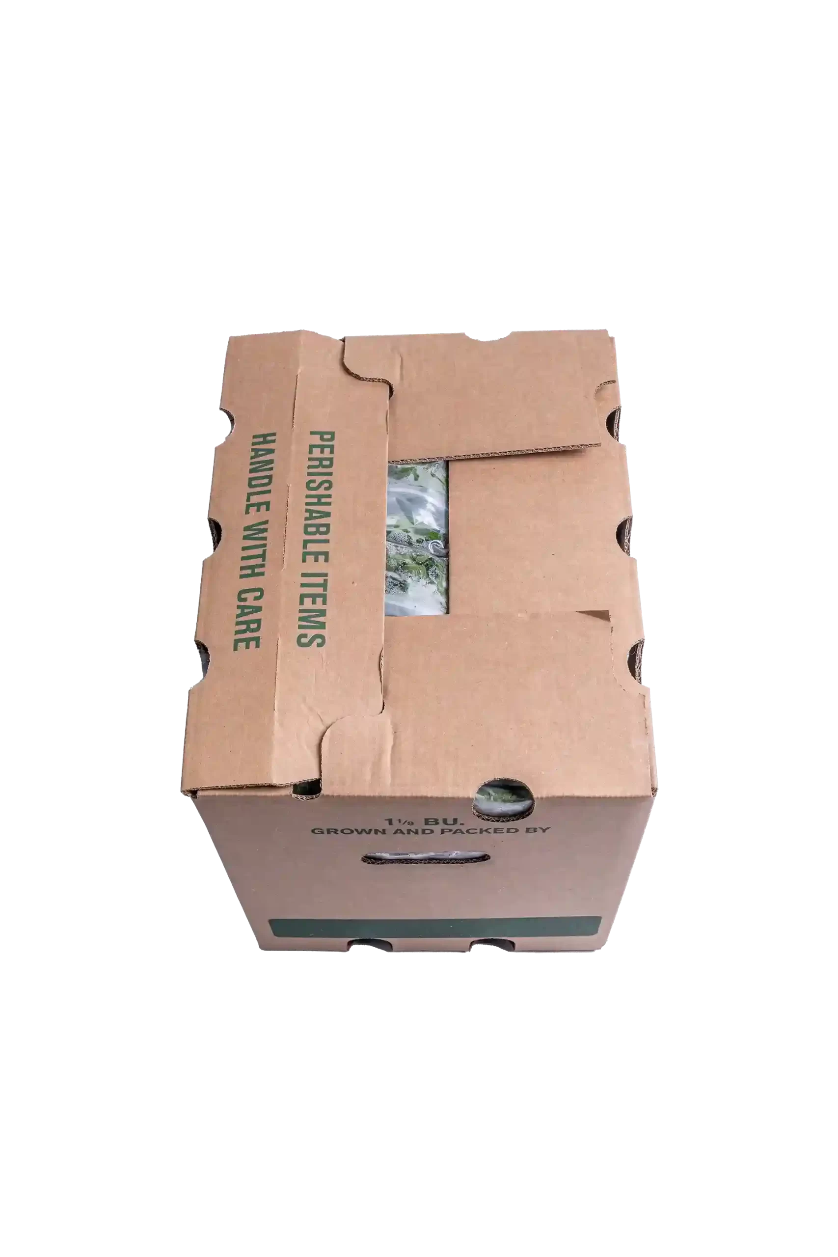 Organic Arugula, 1 lb. - Image 4