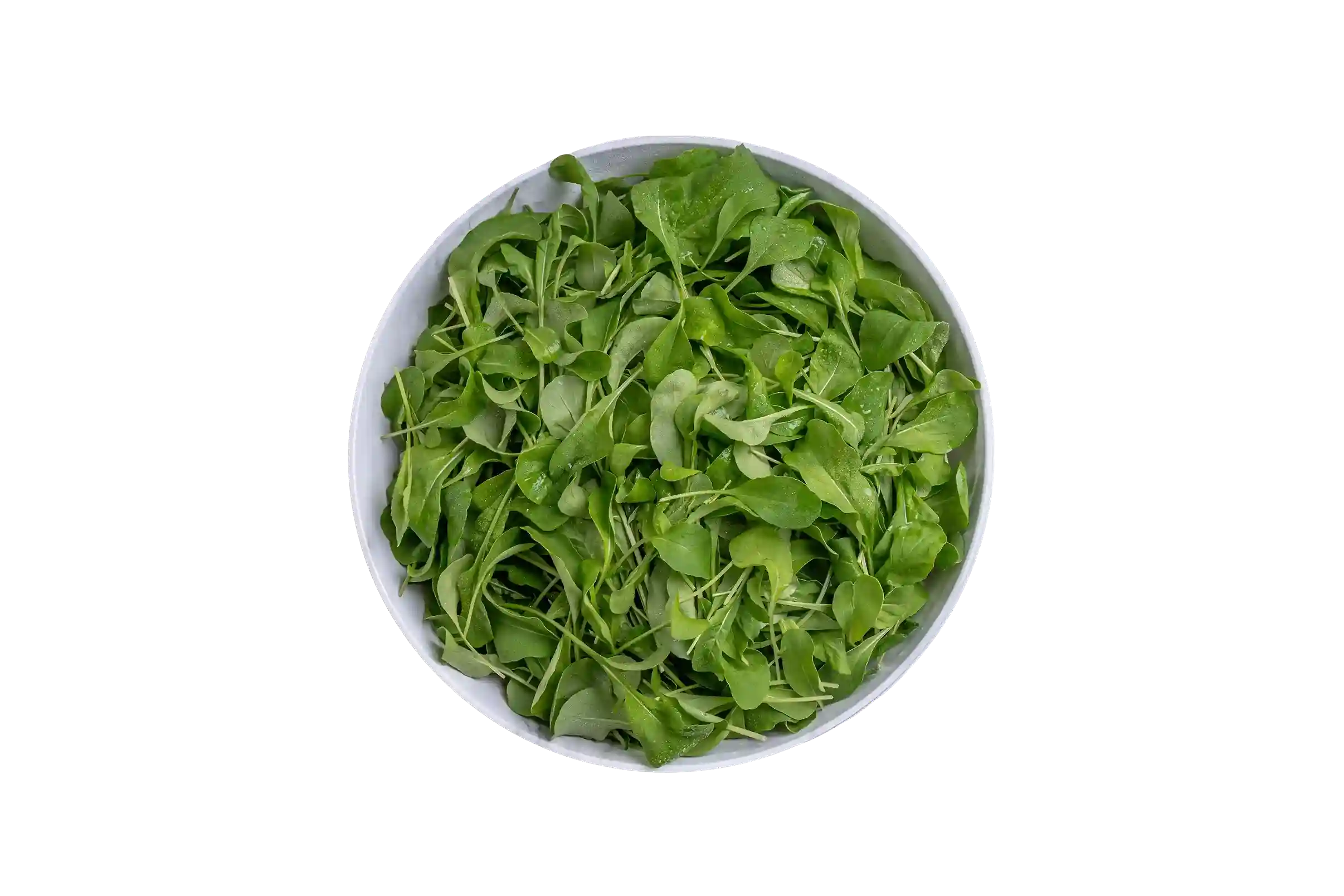 Organic Arugula, 1 lb.