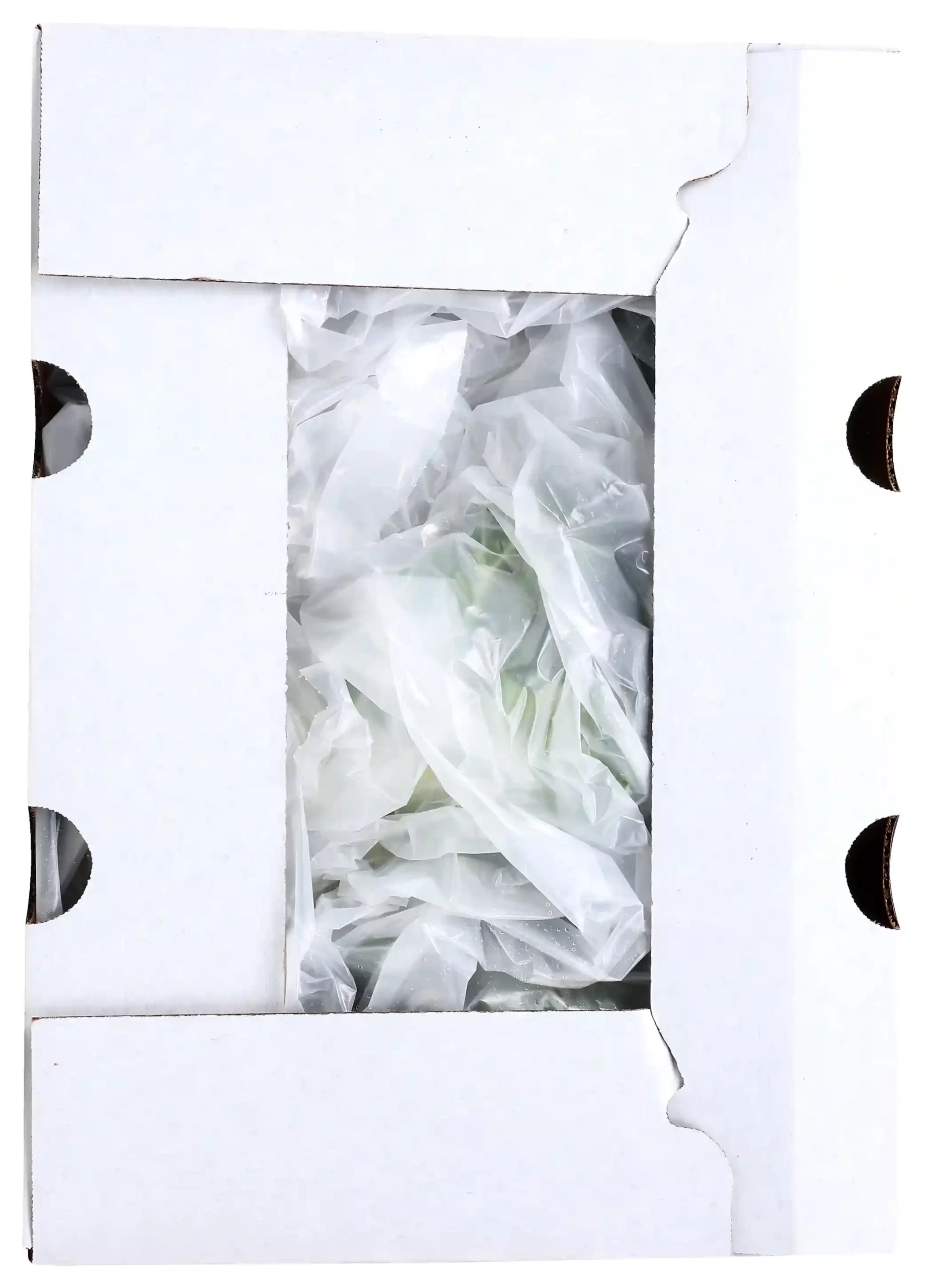 Bok Choy - Image 2