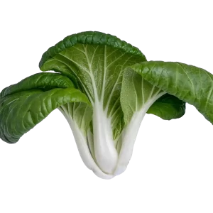 Bok Choy