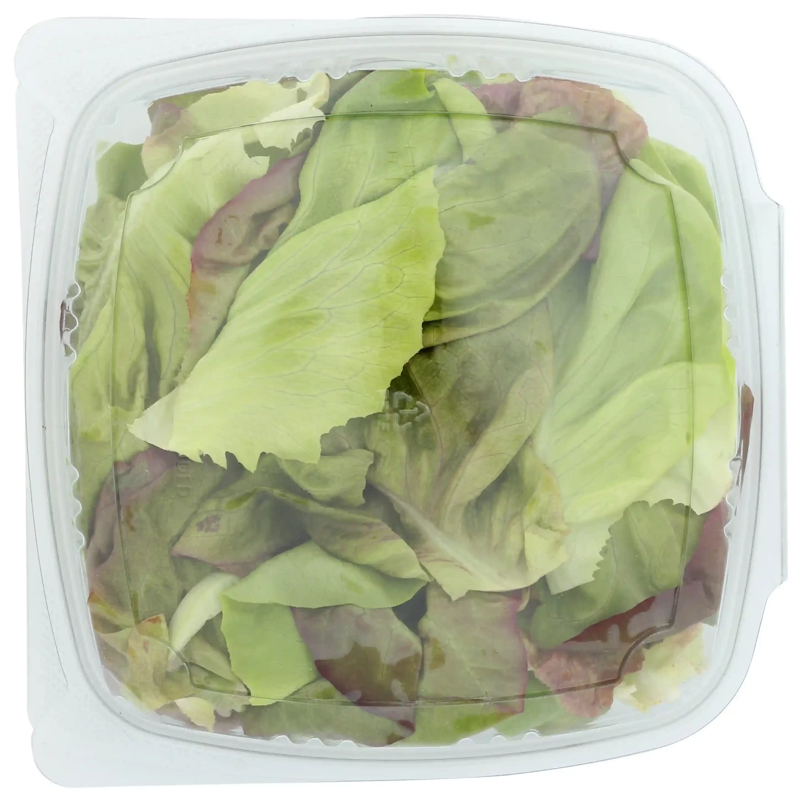 Butter Mix organic blend of two lettuces red butterhead and butterhead, 5 Oz.
