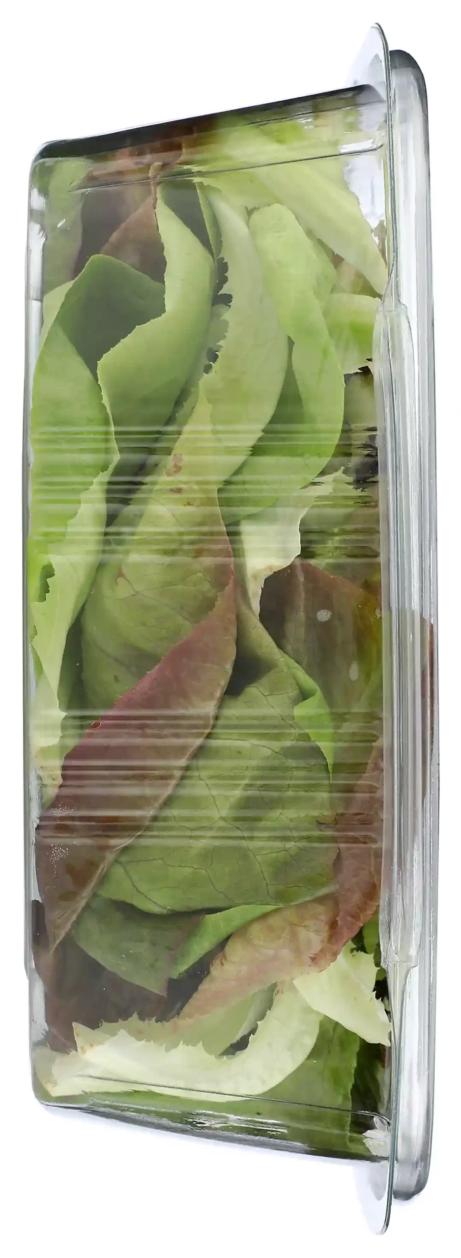 Butter Mix organic blend of two lettuces red butterhead and butterhead, 5 Oz. - Image 7