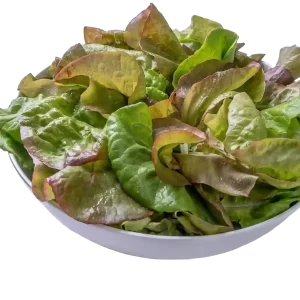 Butter Mix organic blend of two lettuces red butterhead and butterhead, 1 lb.