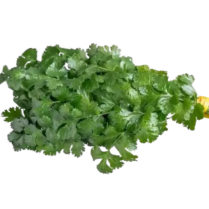 Organic Cilantro 2-3 Oz Bunch.