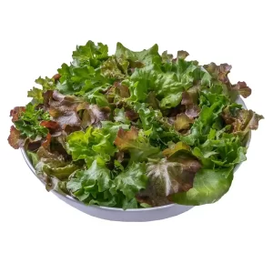 Farmers Mix organic blend of four lettuces red leaf, green leaf, red butterhead and butterhead, 1 lb