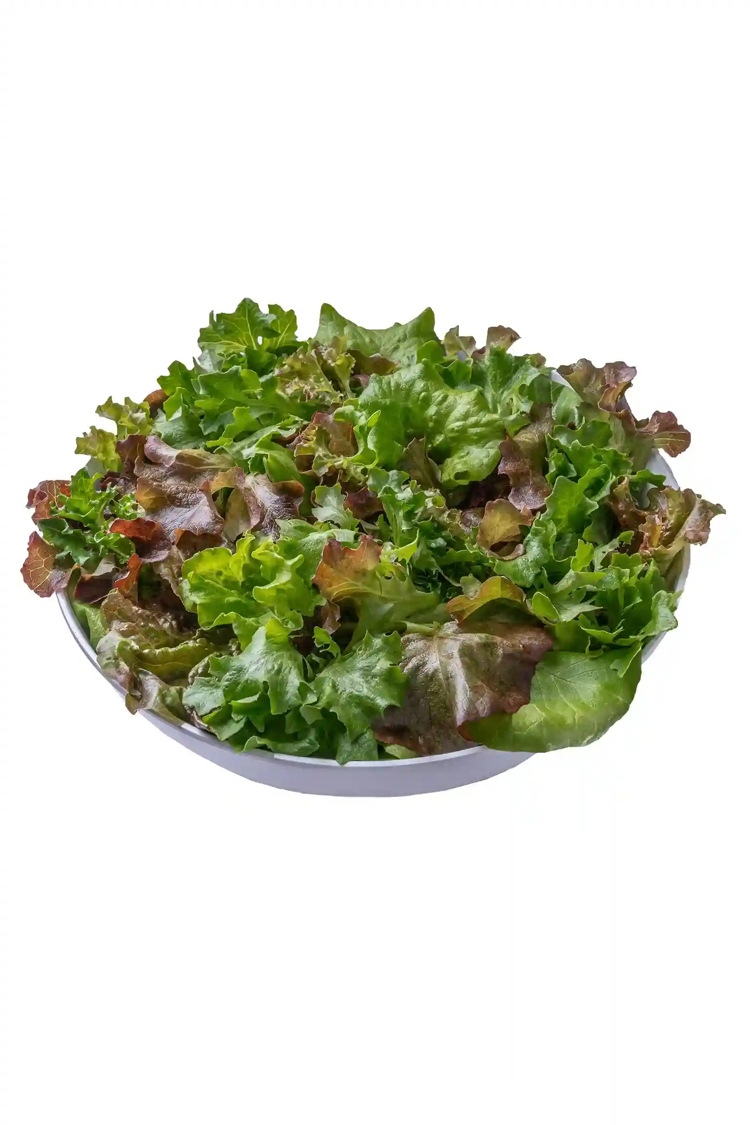 Farmers Mix organic blend of four lettuces red leaf, green leaf, red butterhead and butterhead, 1 lb