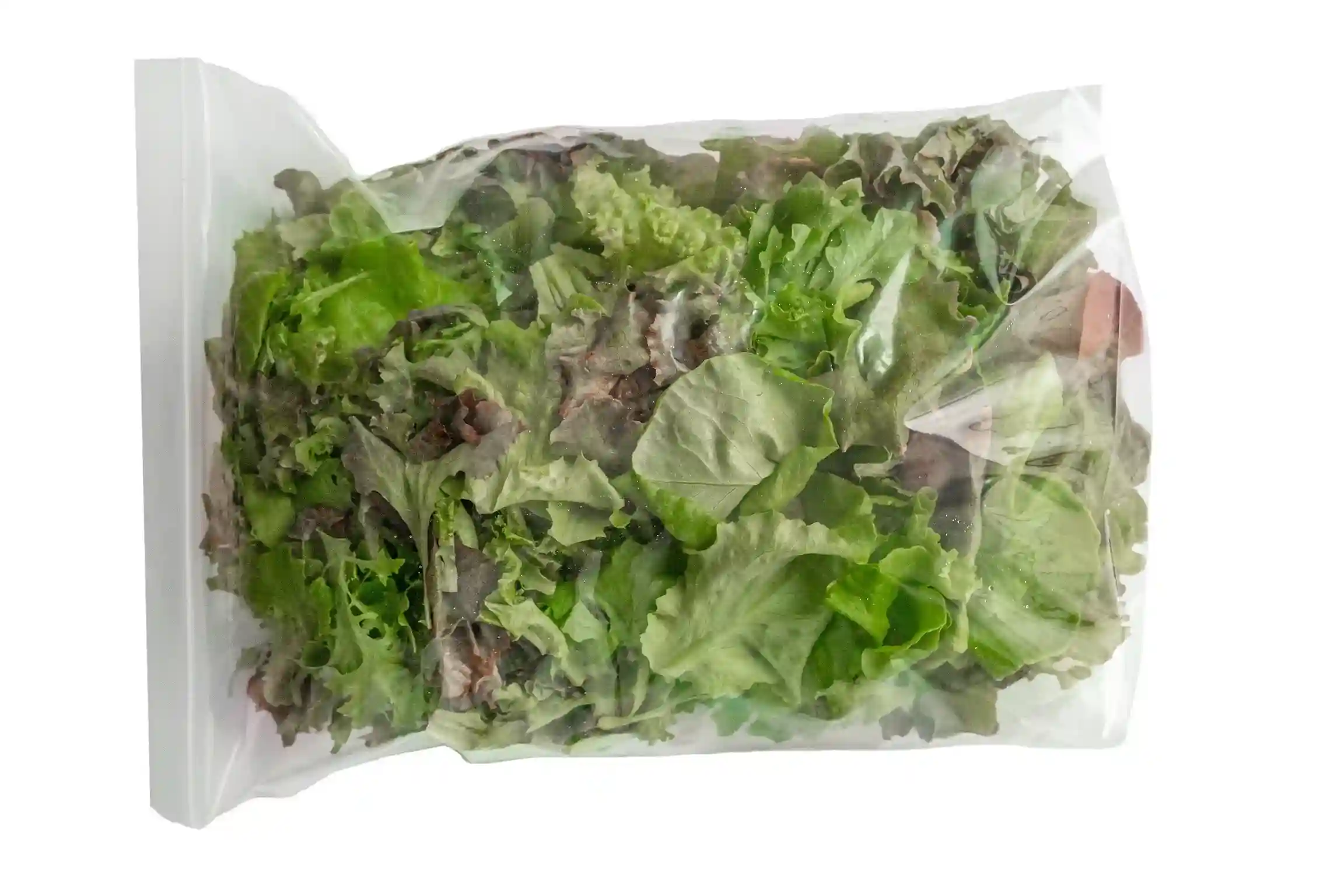 Farmers Mix organic blend of four lettuces red leaf, green leaf, red butterhead and butterhead, 1 lb - Image 2
