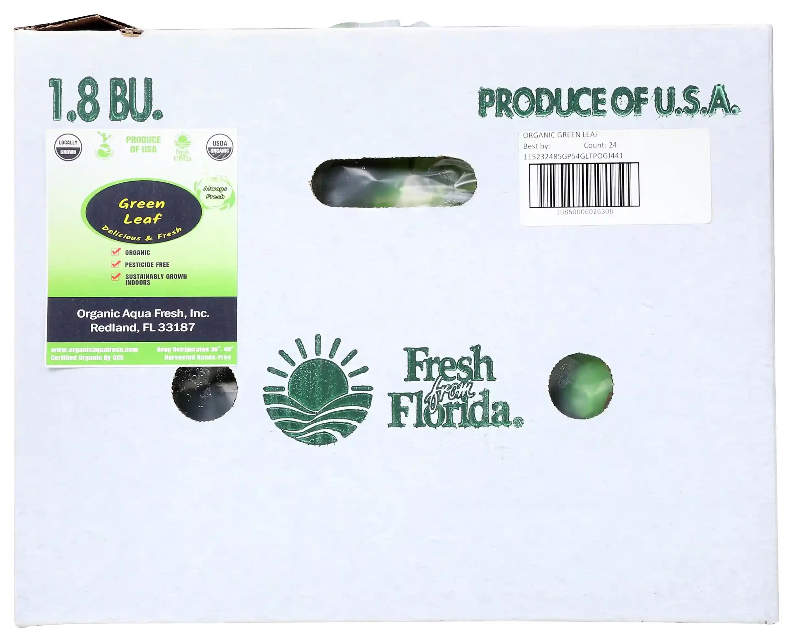Organic Green leaf lettuce - Image 5