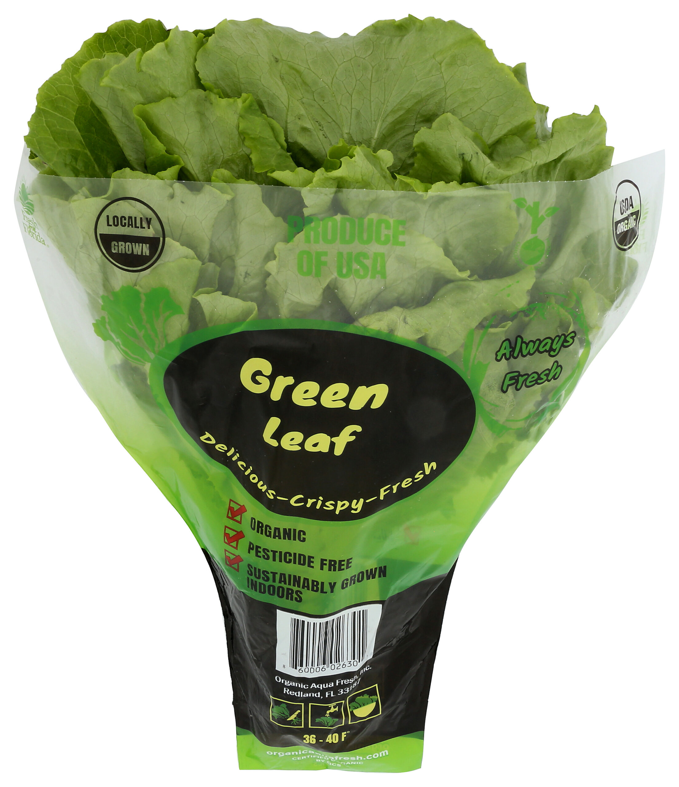 Organic Green leaf lettuce - Image 2