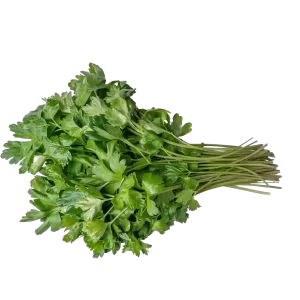 Organic Italian Parsley 1 Lb Bag