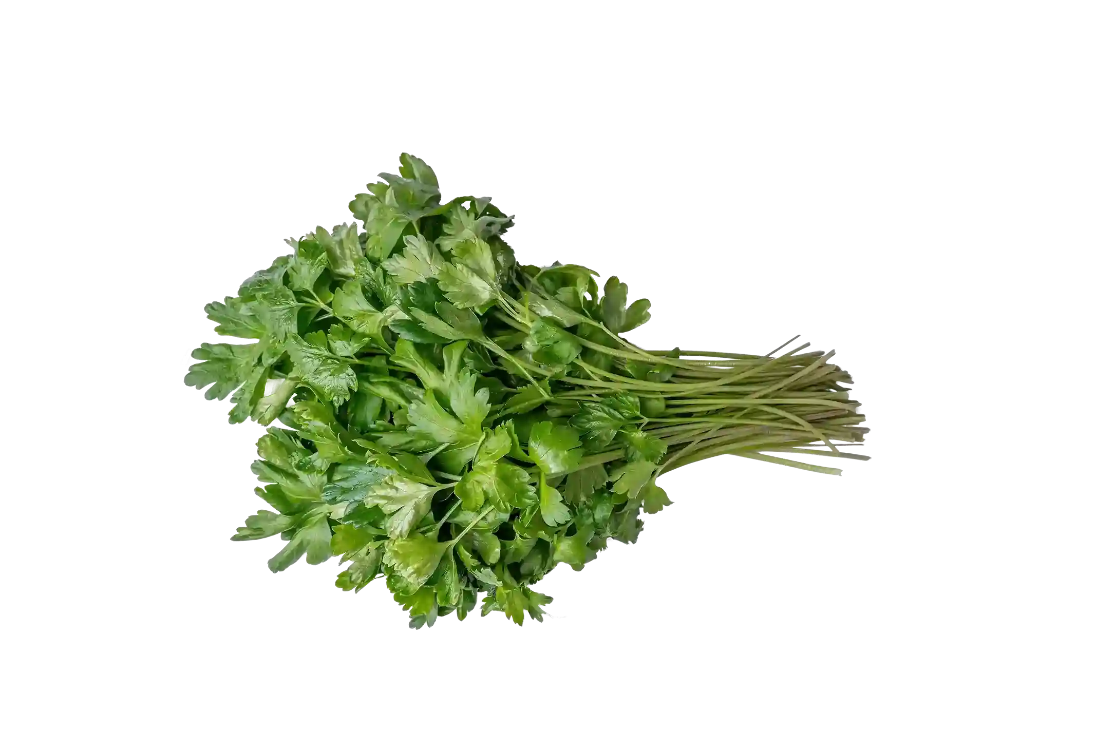 Organic Italian Parsley 1 Lb Bag