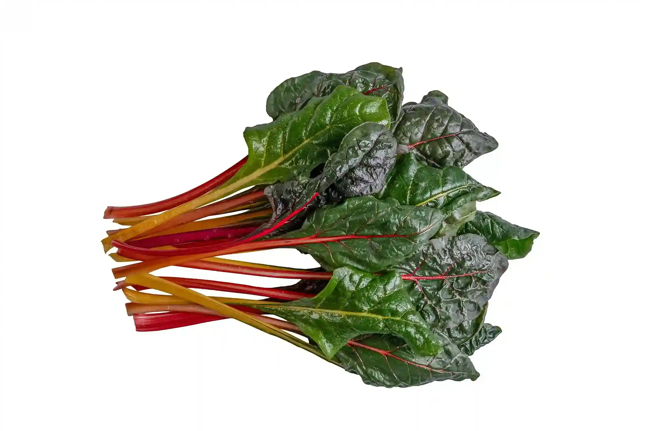 Organic Rainbow Swiss Chard 5 Oz Bunch - Image 3