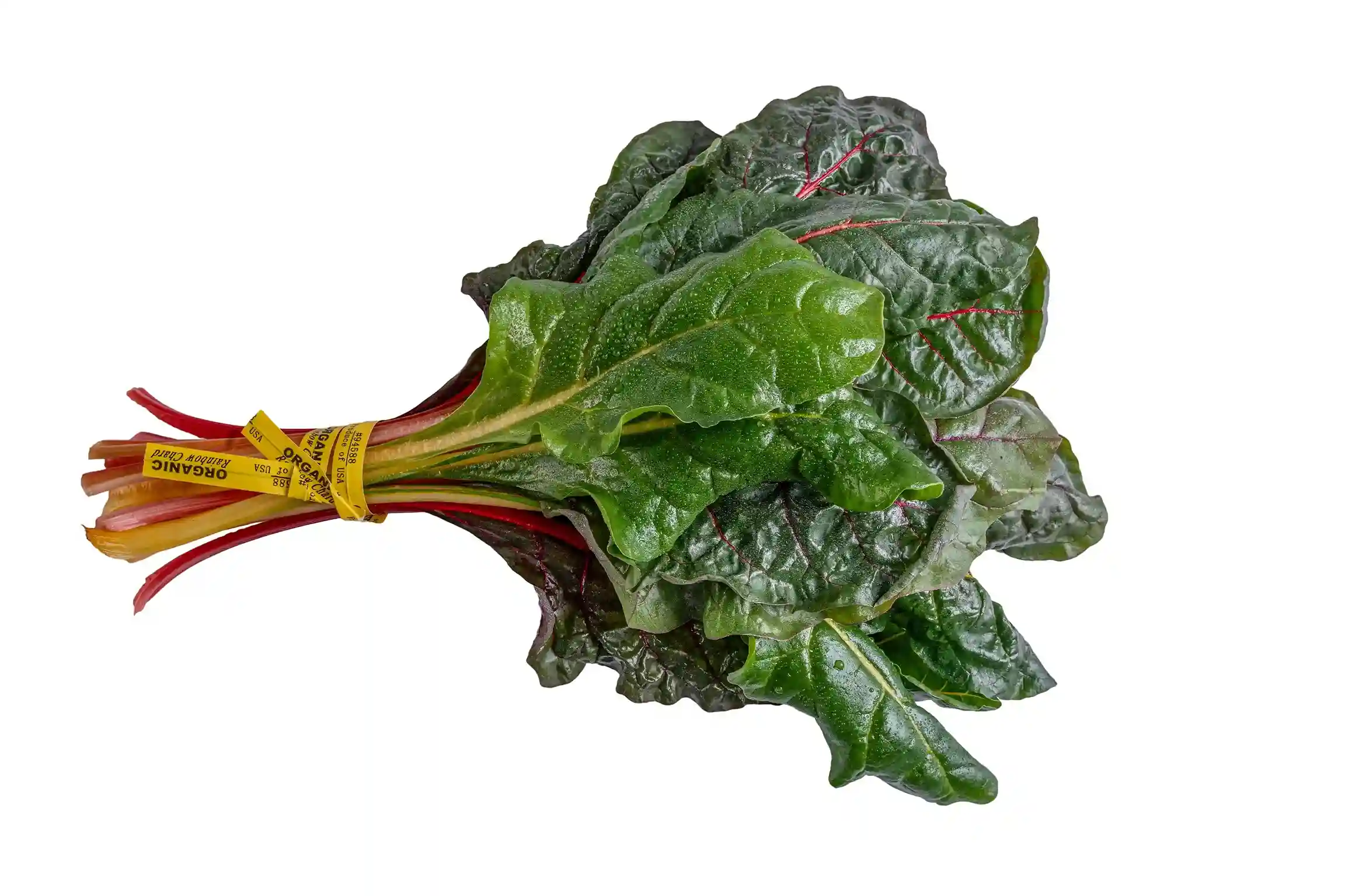 Organic Rainbow Swiss Chard 5 Oz Bunch
