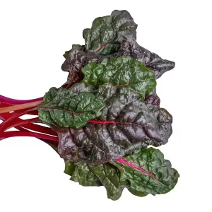 Organic Red Swiss Chard 5 Oz Bunch.