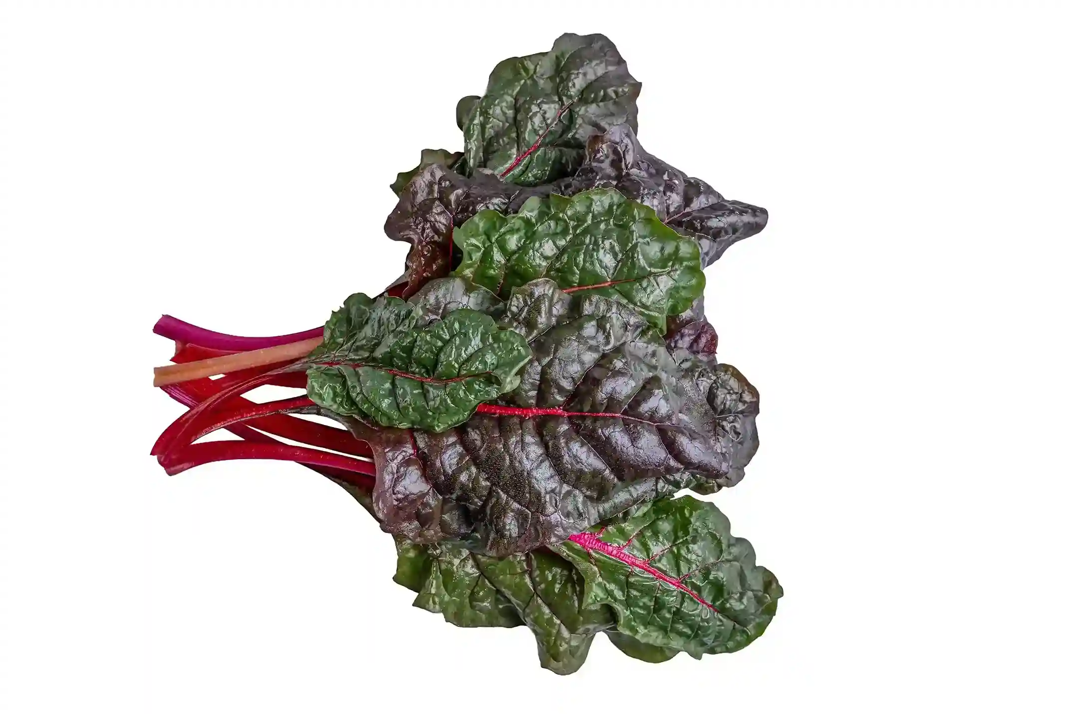 Organic Red Swiss Chard 5 Oz Bunch.