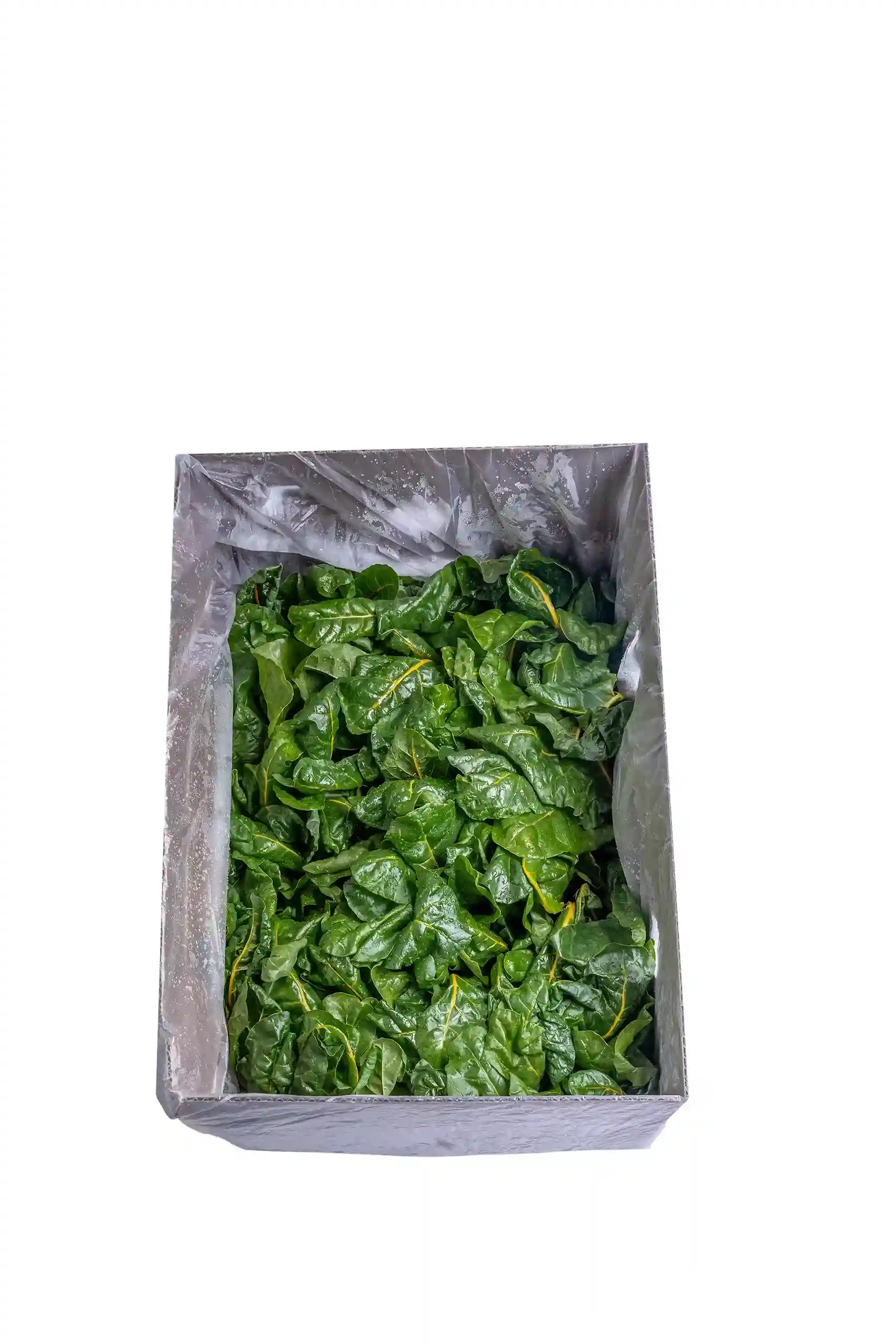 Organic Yellow Swiss Chard 5 Oz Bunch - Image 2