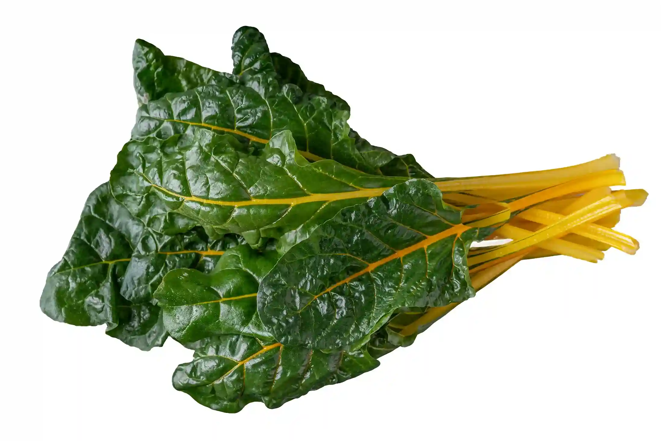 Organic Yellow Swiss Chard 5 Oz Bunch - Image 4